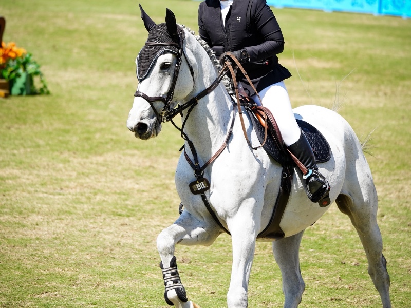 Haloubet profile photo