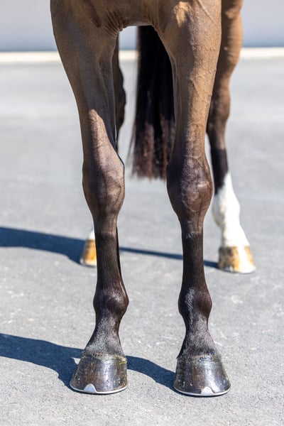 L'envi Du Viaduc profile photo 