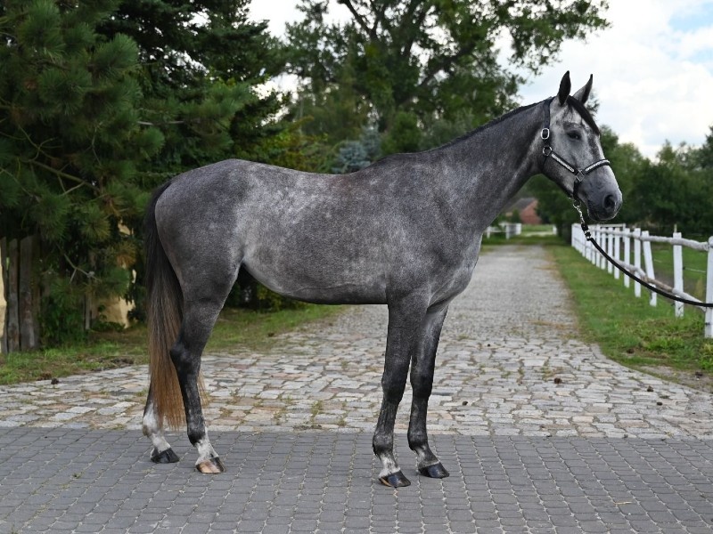 Erdon GR profile photo