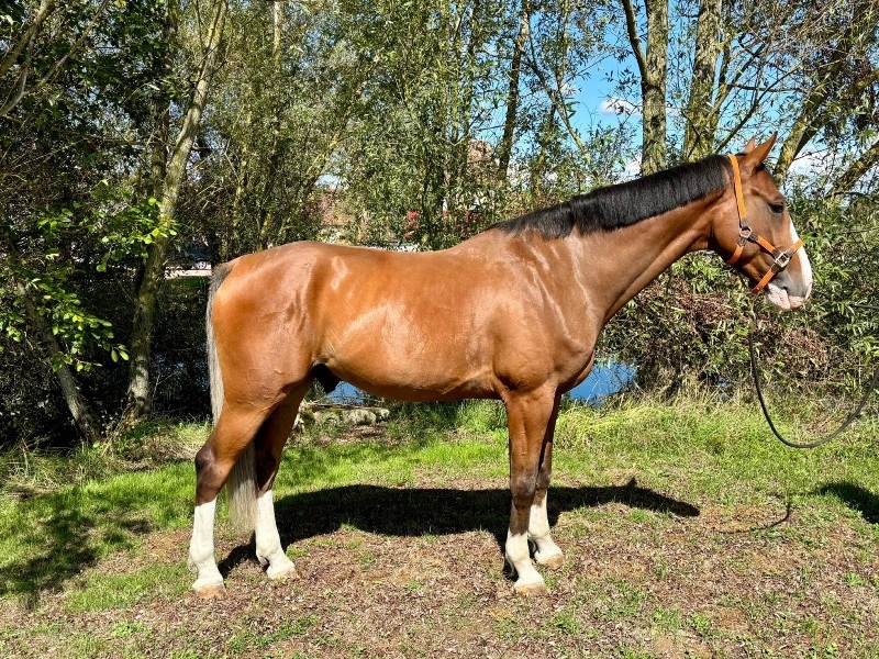 Kaprice Hg profile photo