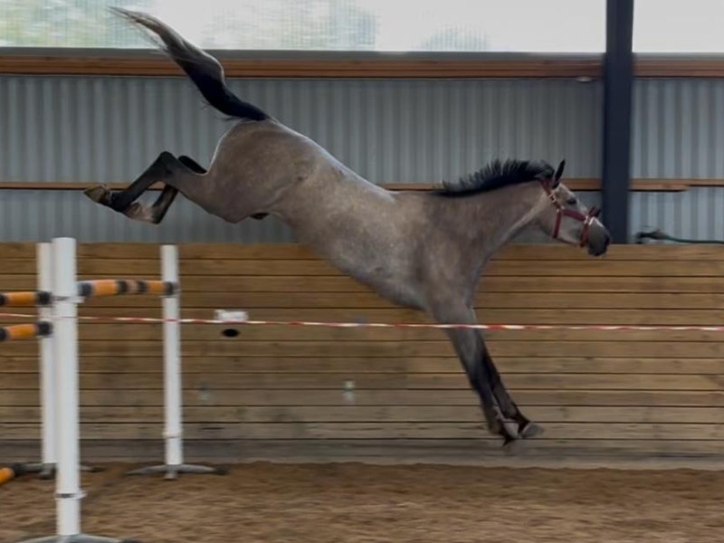 Radelia Van De Keihill profile photo