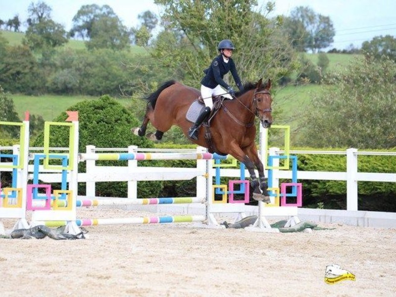 Greenhall Mr Q profile photo