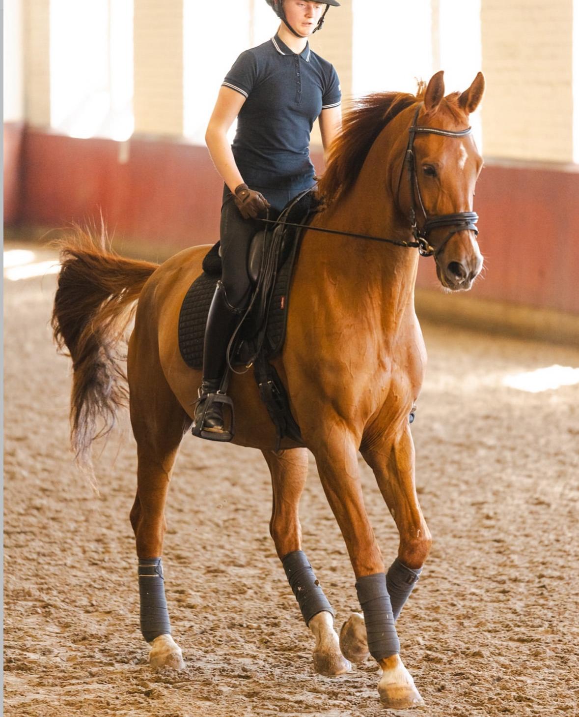 Amazing at Once profile photo 