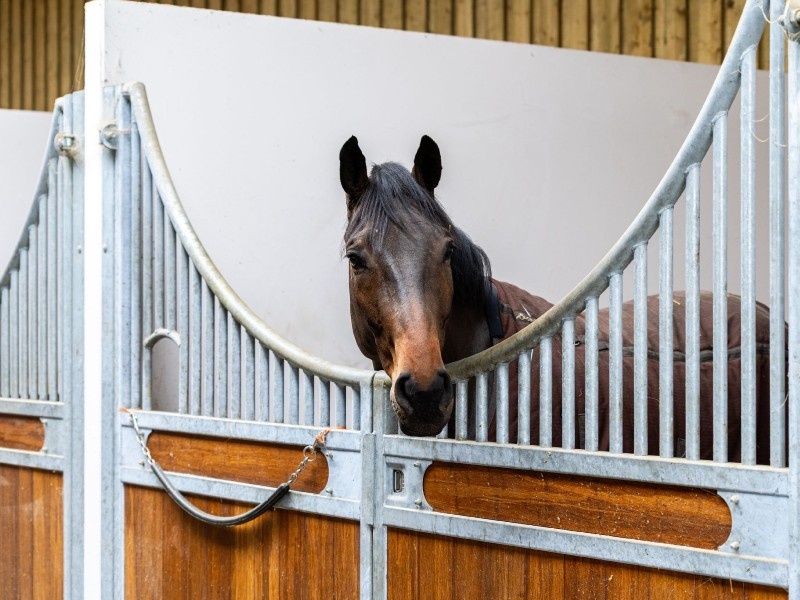 Contha Mia PS profile photo 