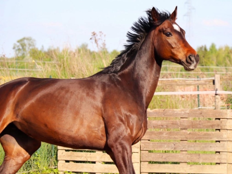 Regina Regenbogen profile photo 