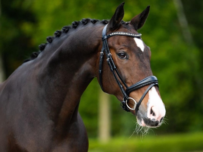 Hummer profile photo 