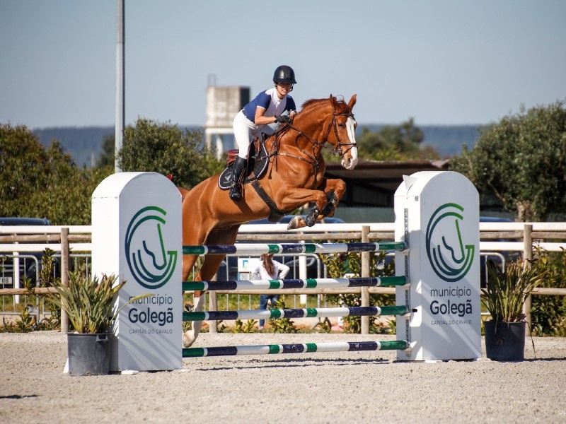 Sunset Gold 3 profile photo