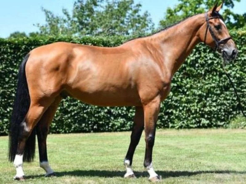 Monsieur D.S. profile photo