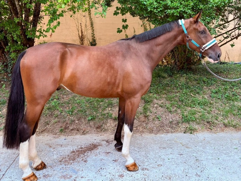 Coloreado profile photo 