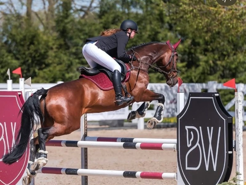 Pina Colada De Goedereede profile photo 