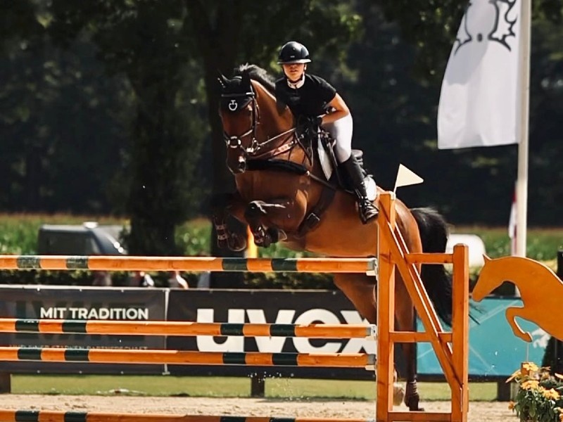 Kirwan SB profile photo 