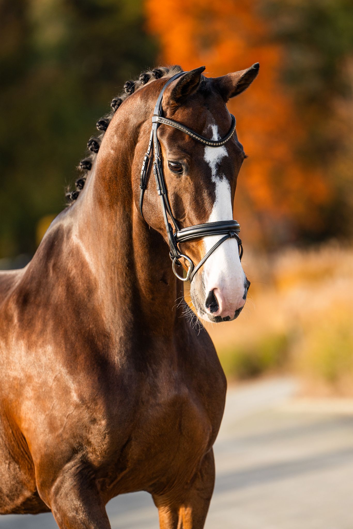 Hip Hip Hooray PR profile photo 