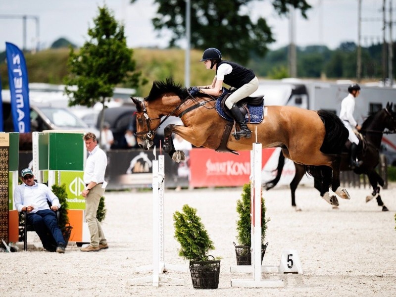 Gandy De L'abbaye profile photo 