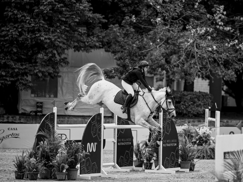 Haloubet profile photo 