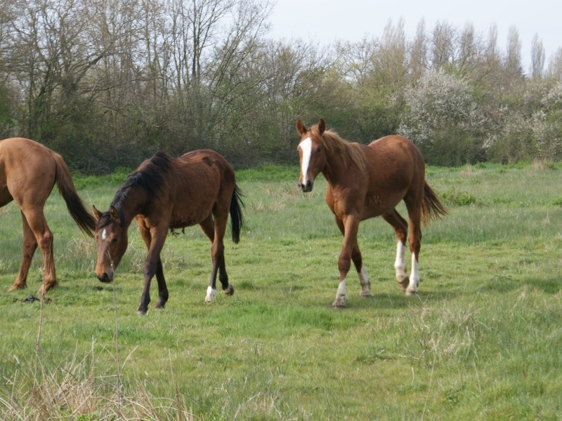 Happy D'antilly profile photo 