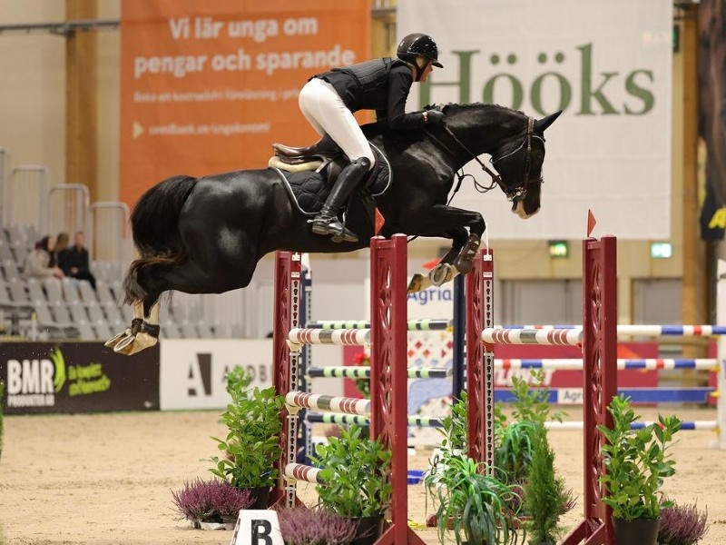 Chardonnay profile photo