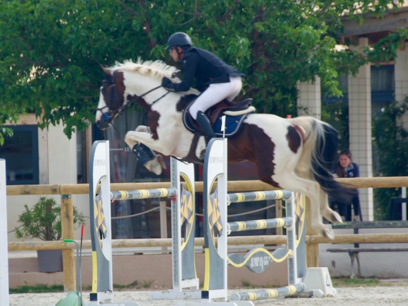 Imperial d’Aurice profile photo 