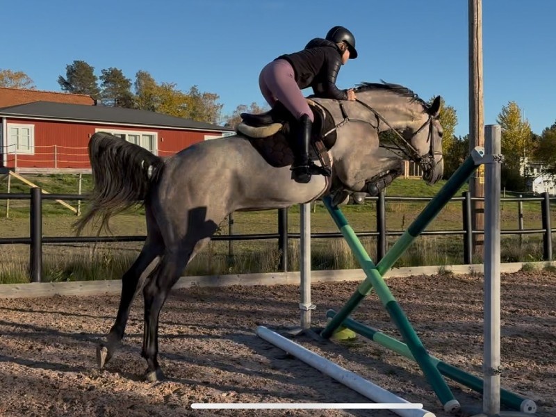 Radelia Van De Keihill profile photo