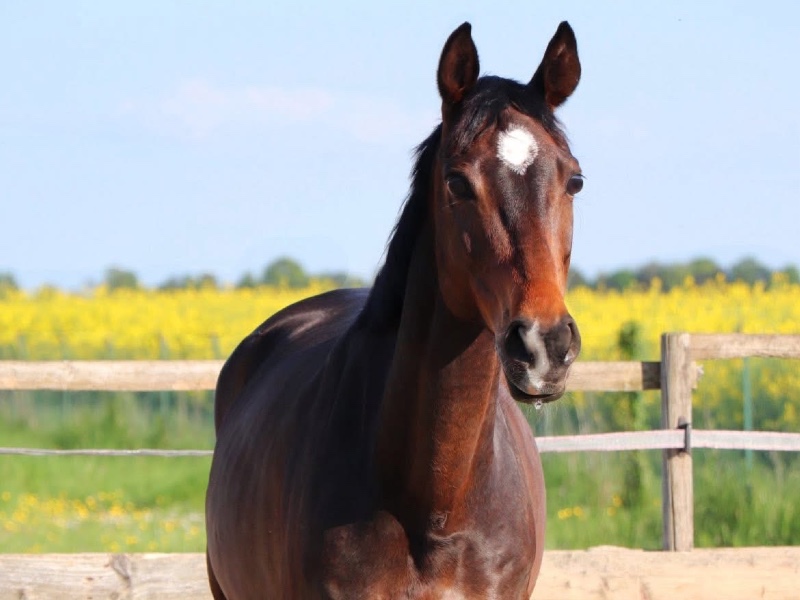 Regina Regenbogen profile photo 