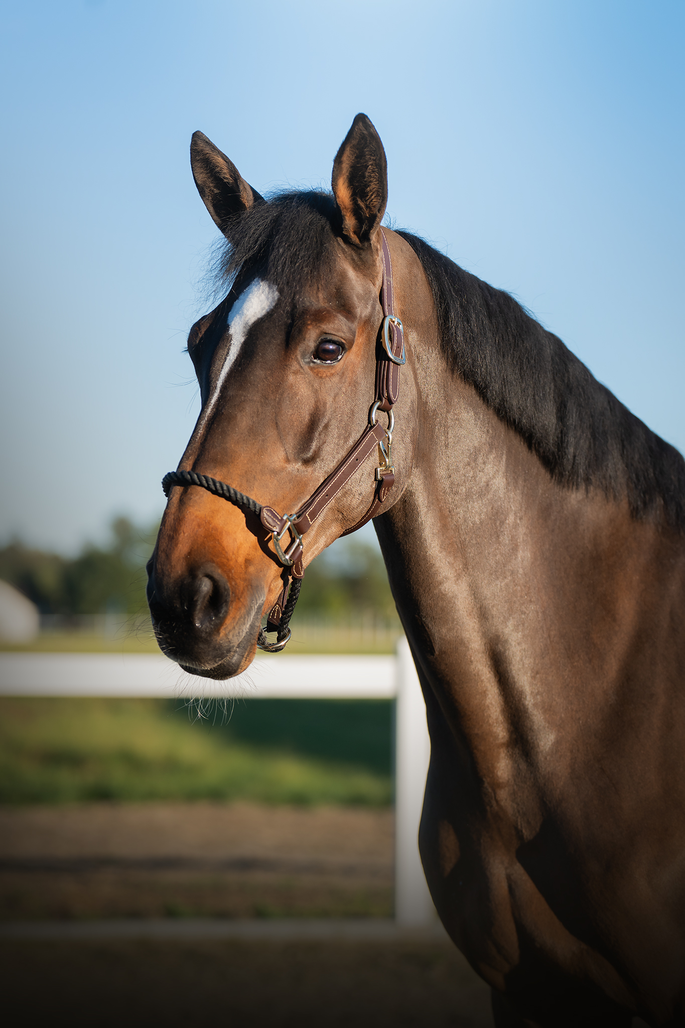 Westfalia L profile photo 