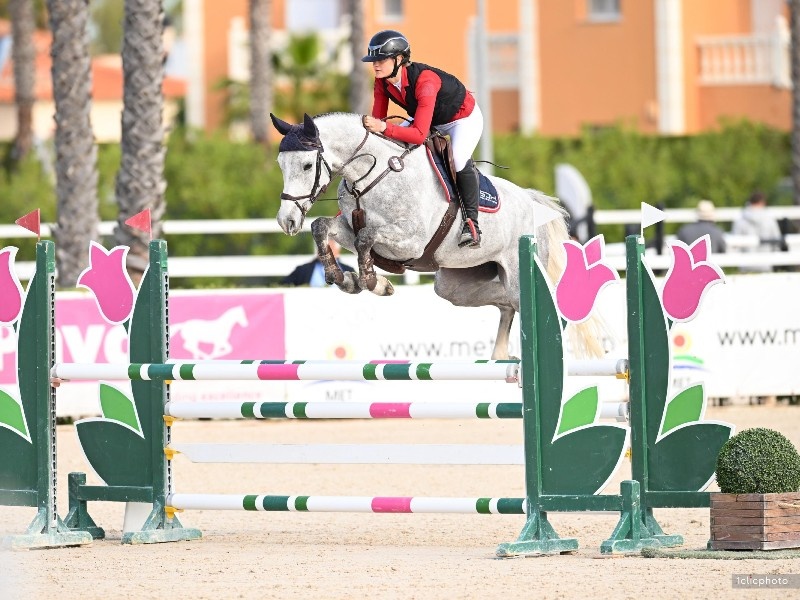 Naughty Girl V/d Edcohoeve Z profile photo