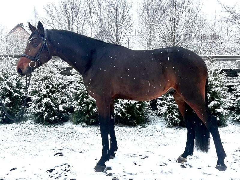 Casio De La Doro profile photo