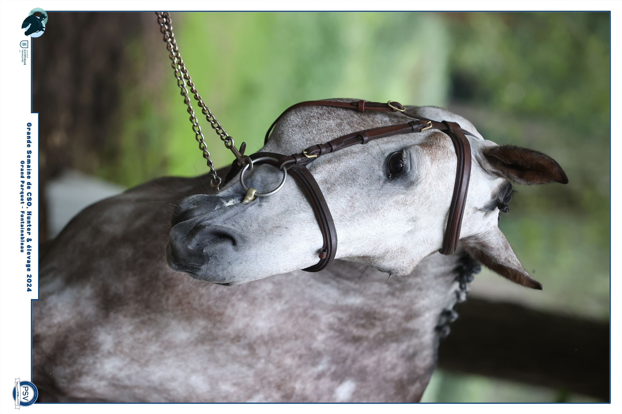 Nostra Dam'us Du Finiels profile photo