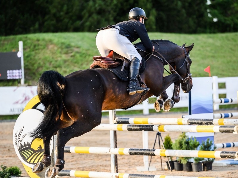 Gigolo profile photo