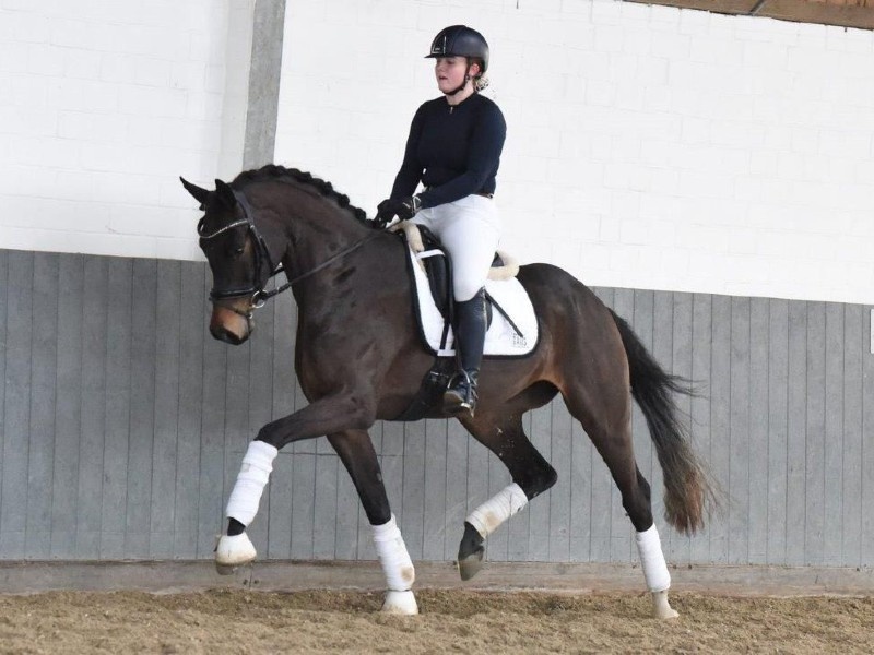 Fillyfee profile photo 