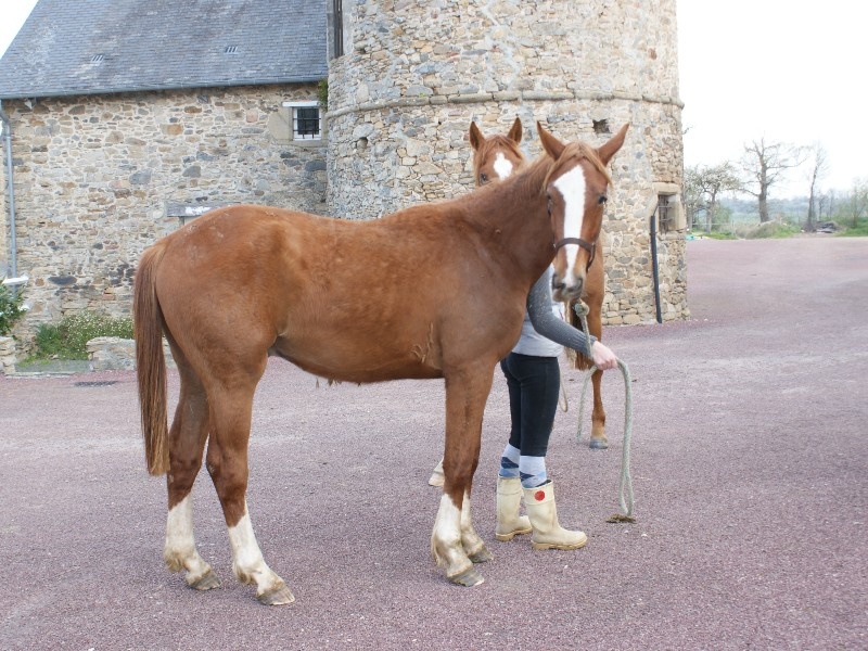 Happy D'antilly profile photo 