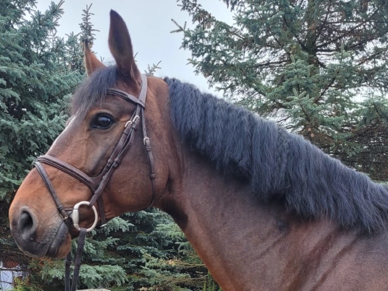 Toulon B Z profile photo