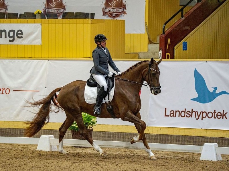 Vita Beach profile photo