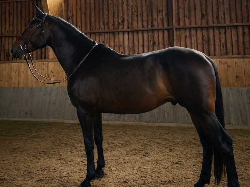 Domaine Fring profile photo