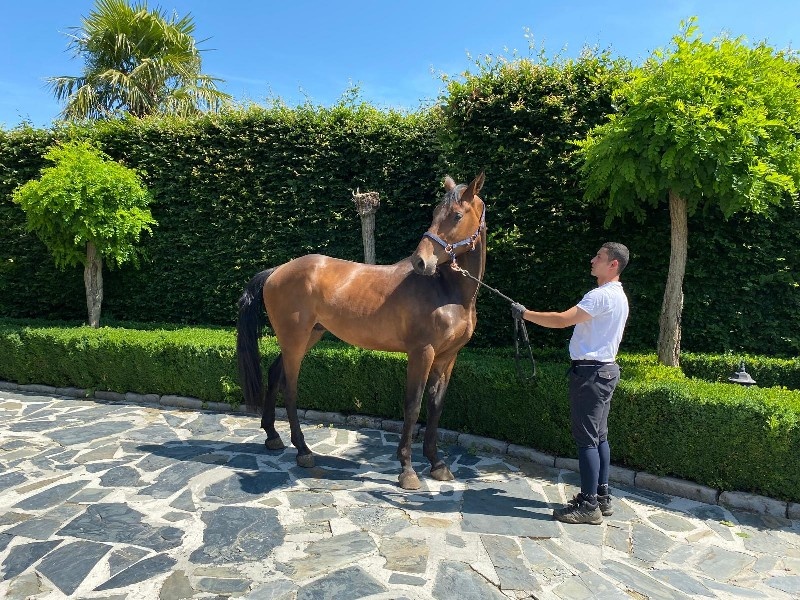 Terrible Van’t Laar  profile photo