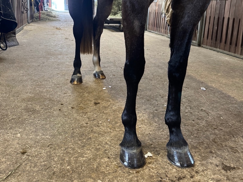 Chloe la belle profile photo 