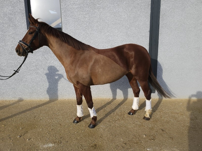 Raven d'Everdeen profile photo 