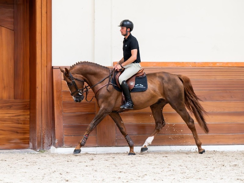 Proper profile photo 