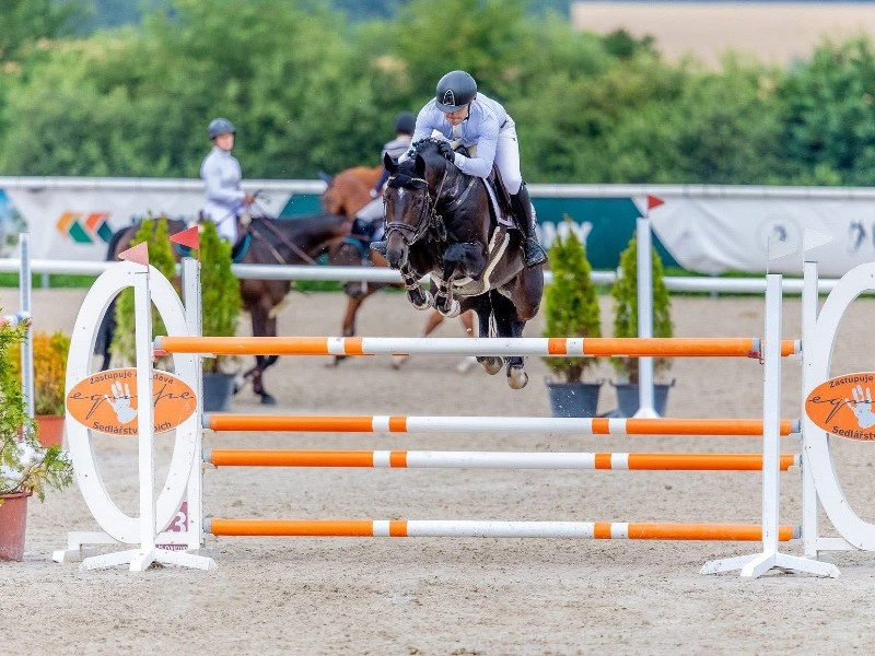 Shade Of Myth Z profile photo