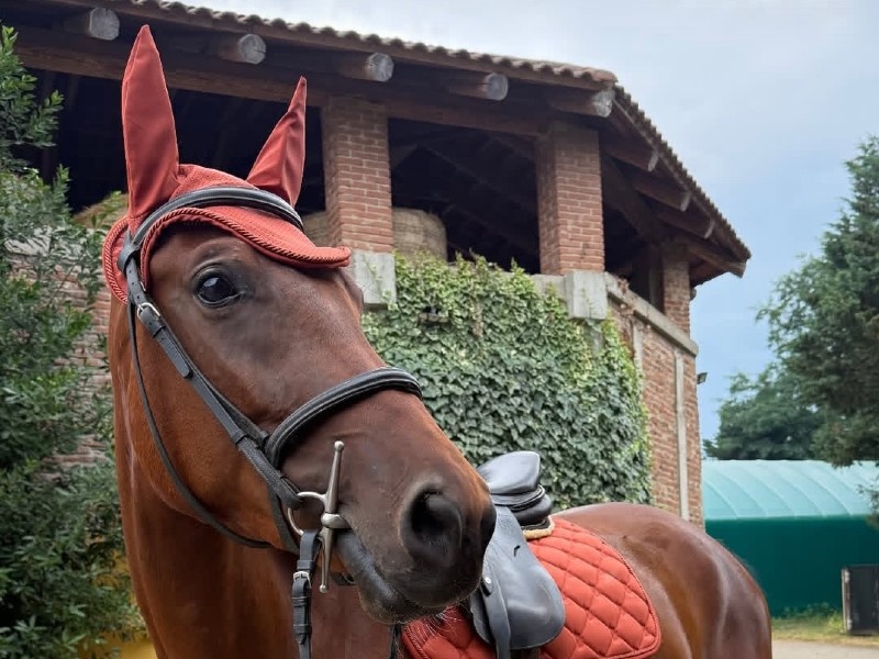 Conthara Blue profile photo