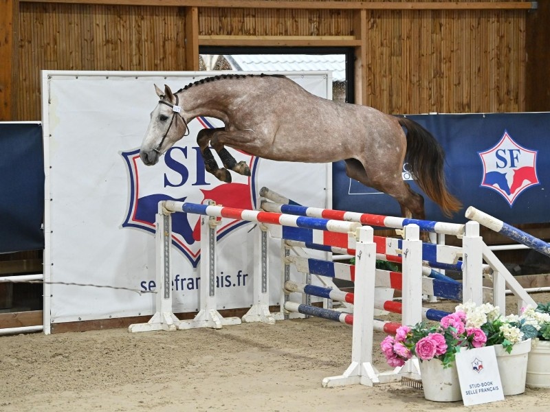 Lupin De Willems profile photo