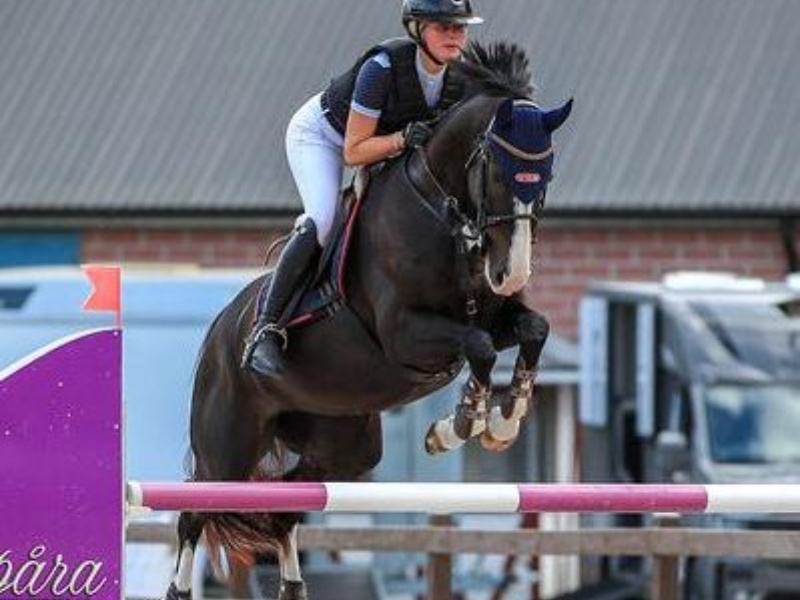 Chardonnay profile photo 