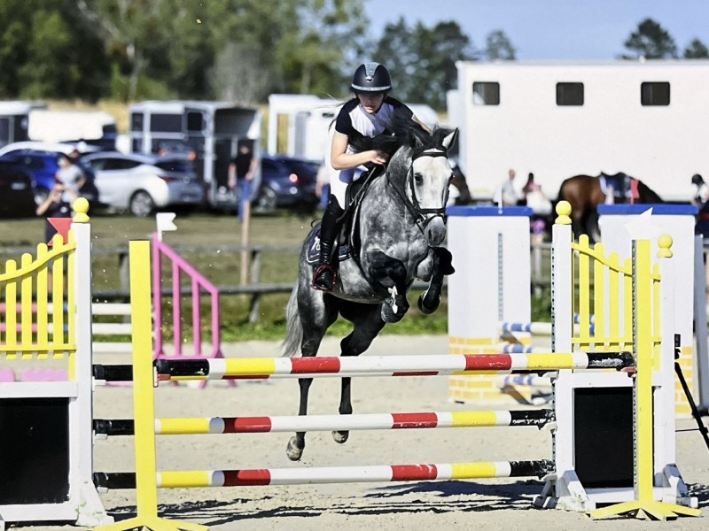 A - il est Beau de l’Otri profile photo 