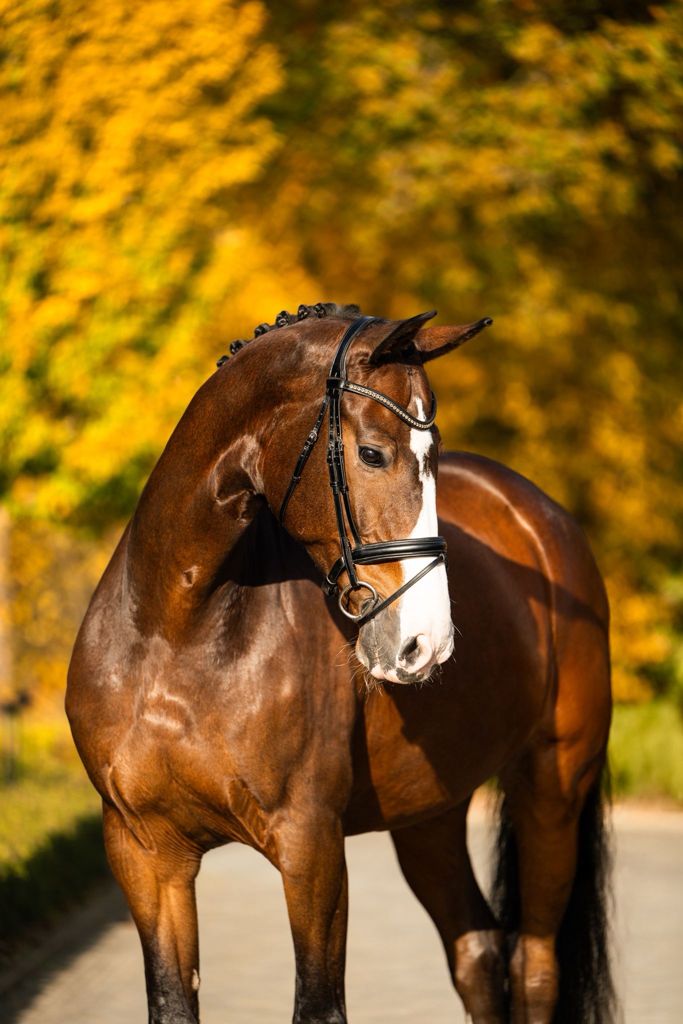 Hip Hip Hooray PR profile photo 