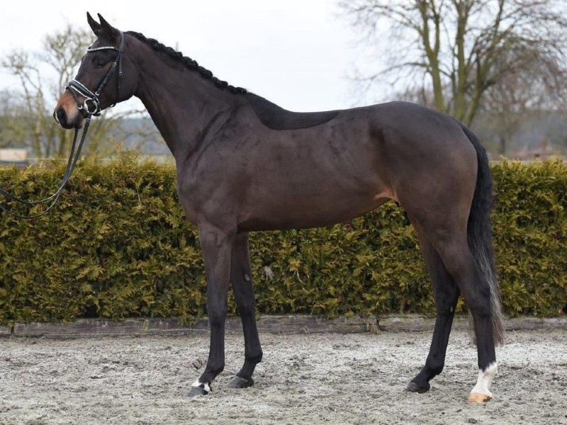 Fillyfee profile photo 