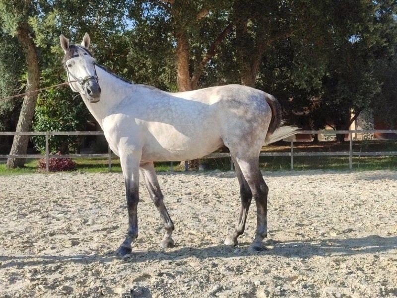 Ilandino H profile photo