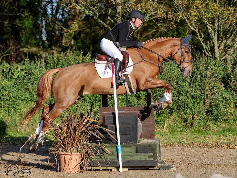 Biscuit profile photo 