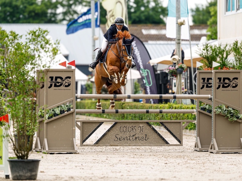 Ravissante V. 't Recht Eind profile photo