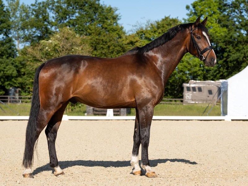 Farley 8 profile photo