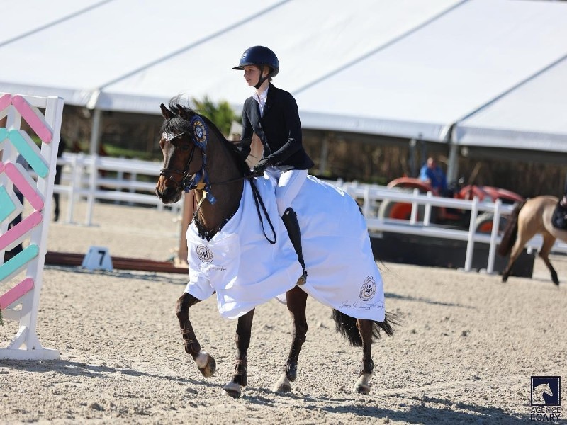 Renkum Kickstart profile photo