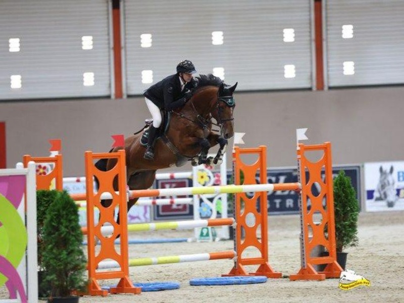 Nova Scotia VDL profile photo